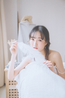 菜鸟间谍第二季